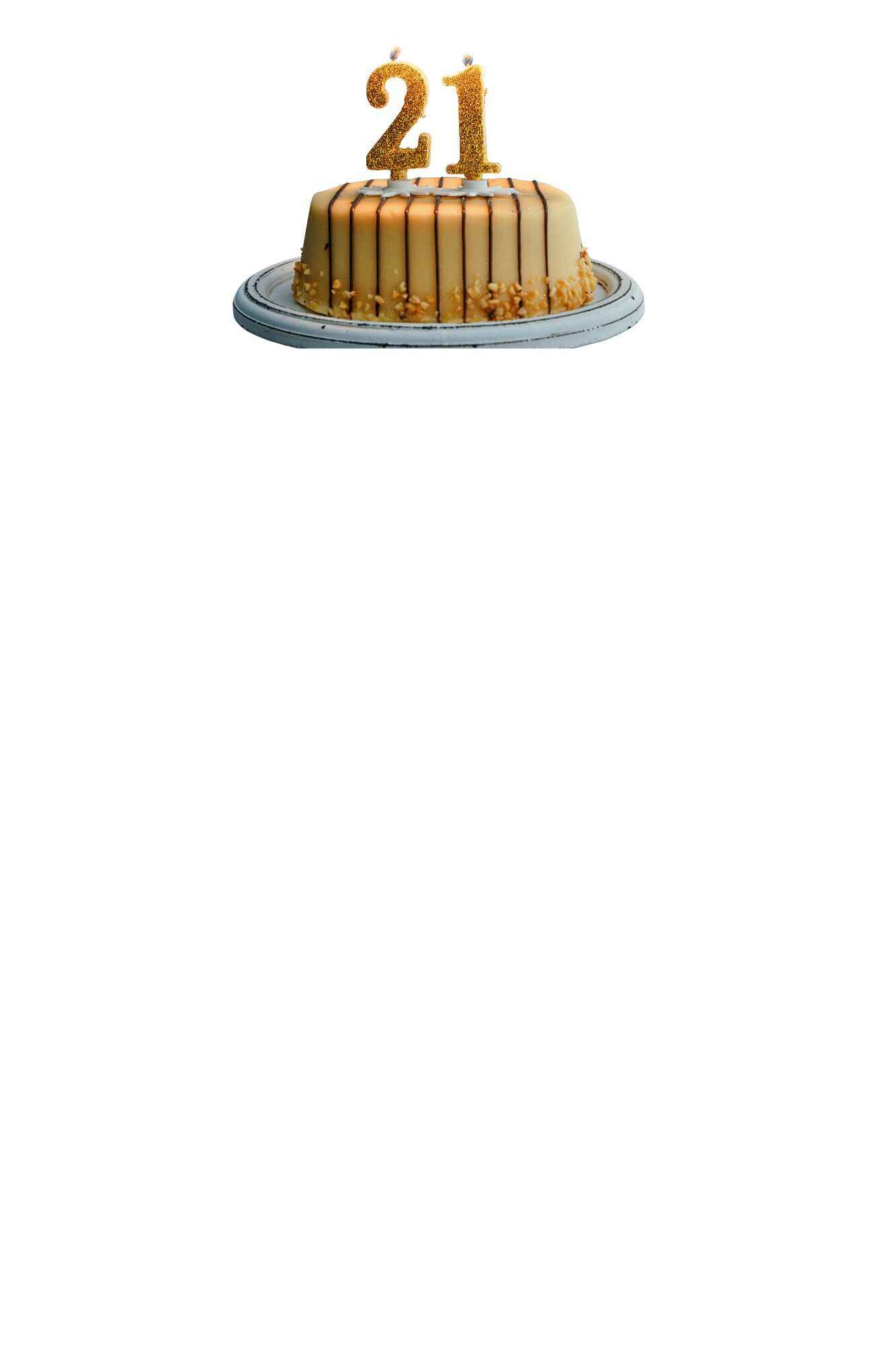 MOTAL Turns 21 at the Fox Theatre image