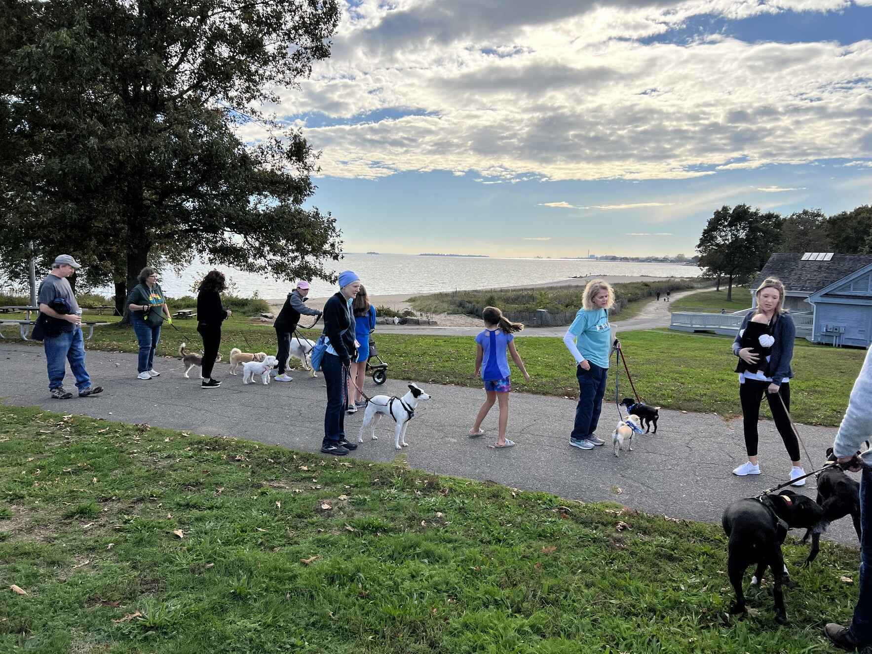 4th Annual Walk with Piglet Meet and Greet at Sherwood Island image