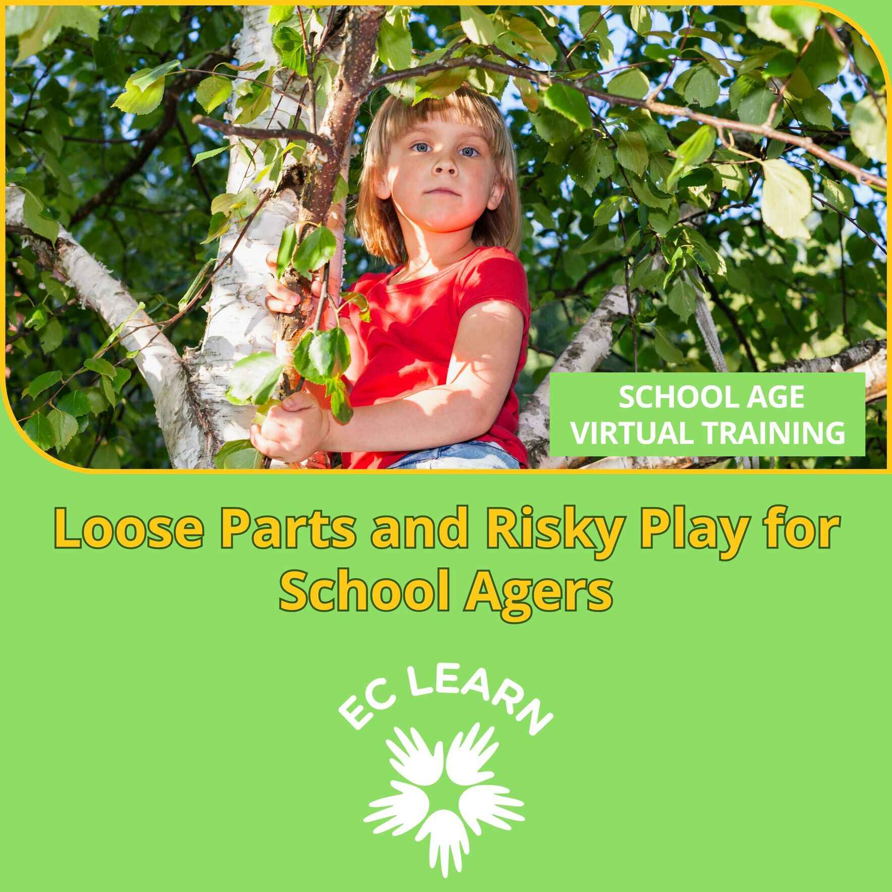 Loose Parts and Risky Play for School Agers image