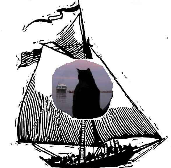 PortSide Fundraiser: sail on Sloop Clearwater and hear ship cat tales image