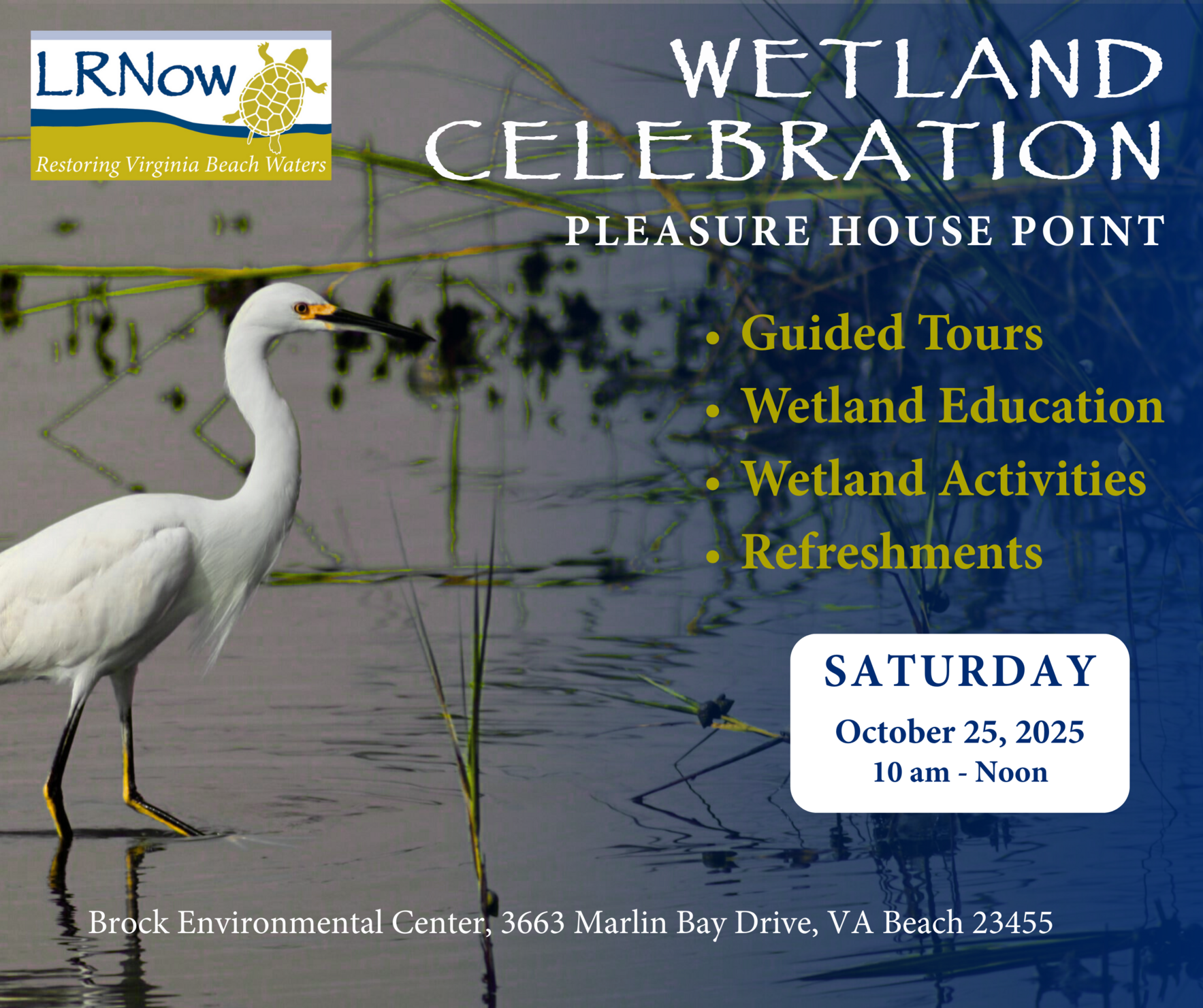 Wetland Celebration at Pleasure House Point image