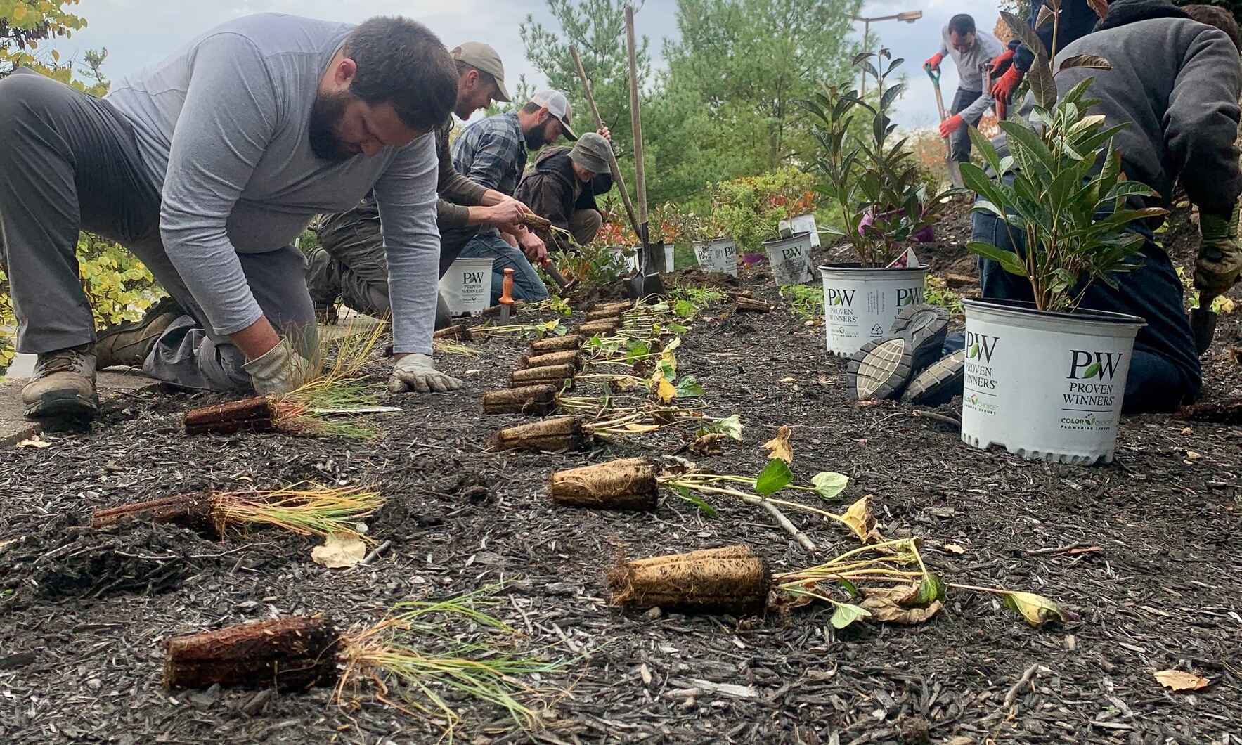 Hamilton County Crisis Center Pollinator Garden Planting image