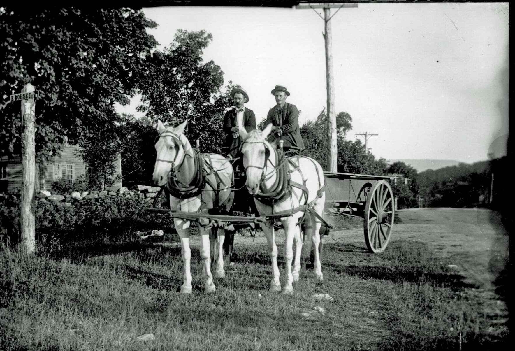 Honoring the Horse: A Legacy of Service, A Future of Sanctuary image