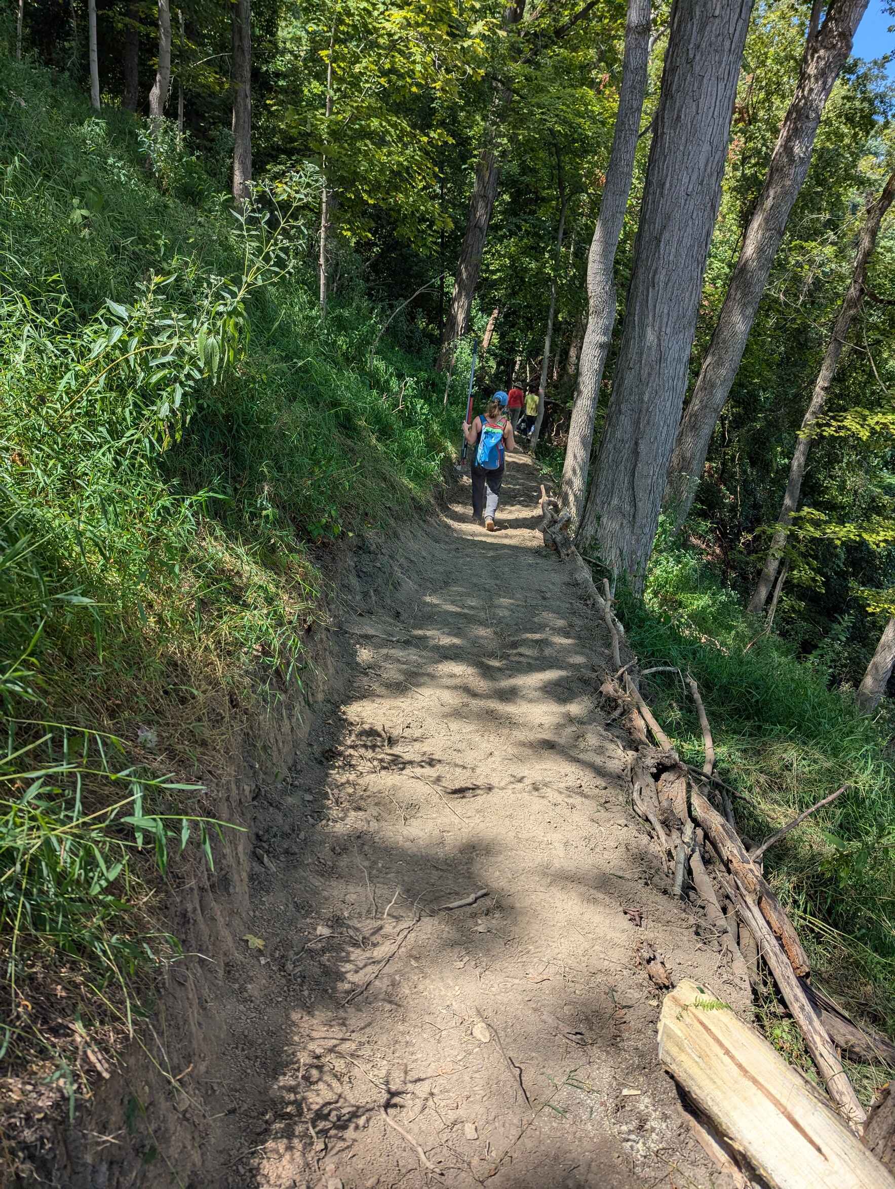 Trail Building- Girty's Woods image