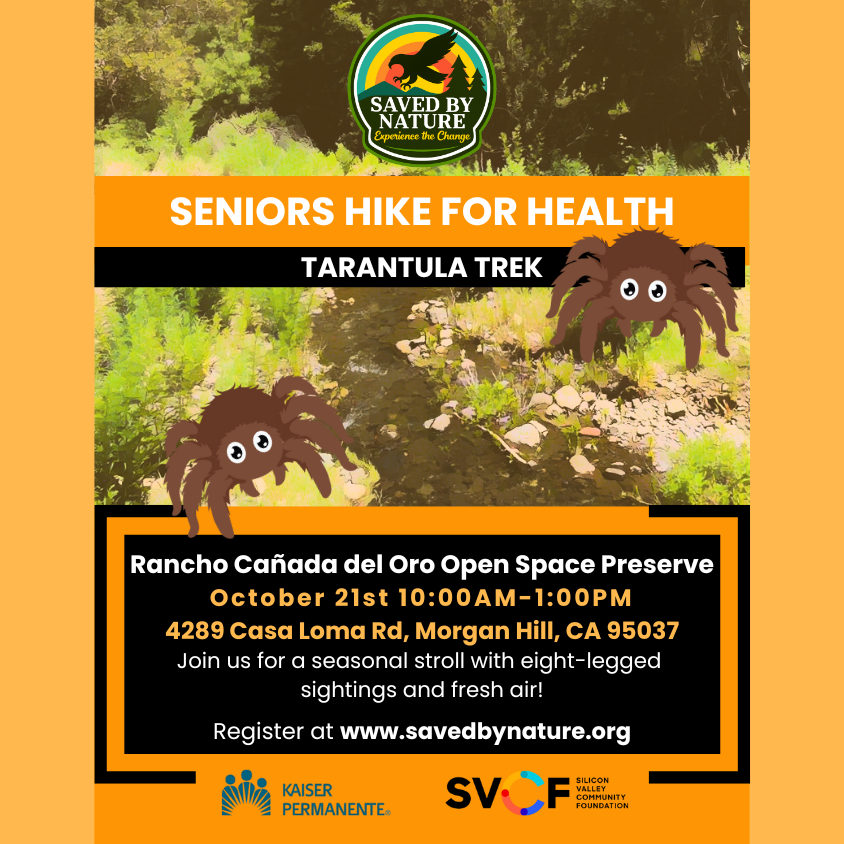 Seniors Hike for Health - Rancho Canada del Oro Open Space Preserve - Tarantula Trek image
