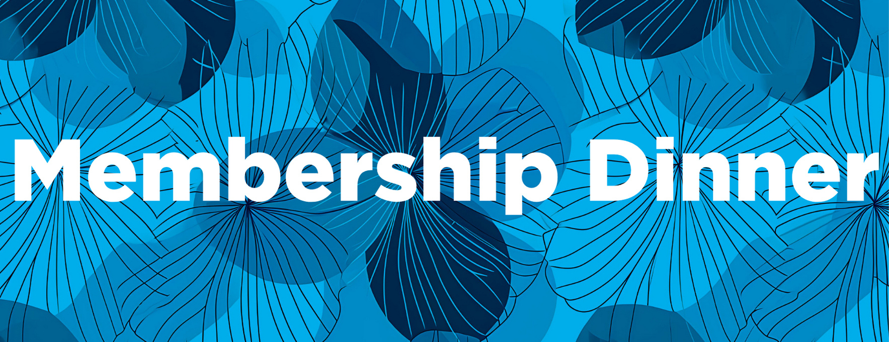 METRO - NAS - Shaloma Chapter - Membership Dinner - 2025 image