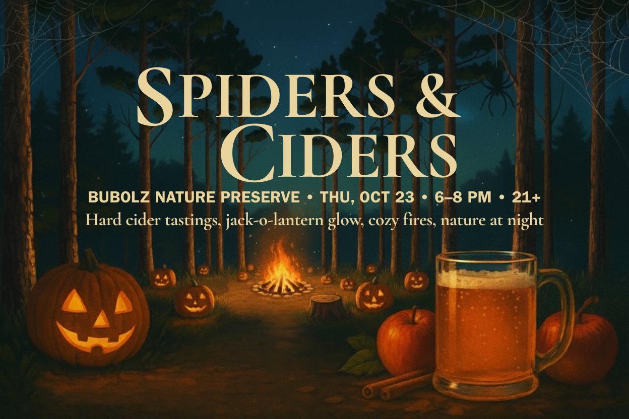 Spiders & Ciders 2025 image