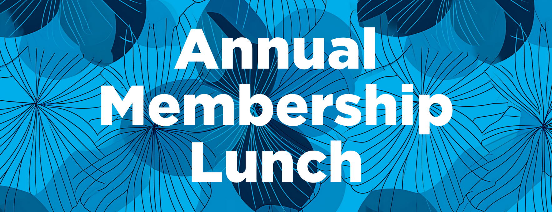 METRO - CT - Fairfield Chapter - Membership Lunch - 2025 image