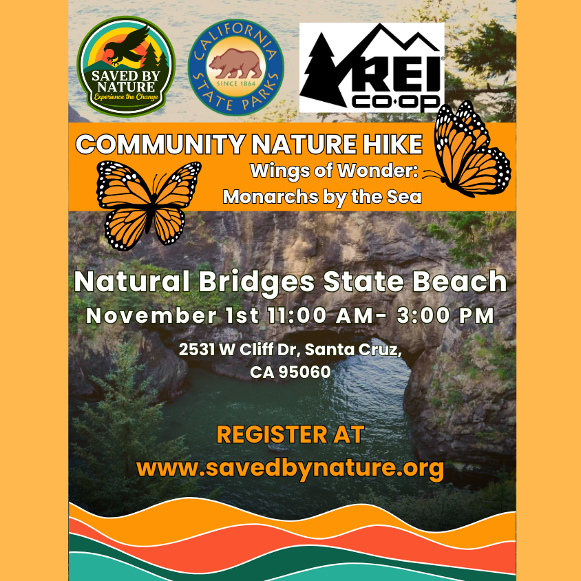 Community Nature Hike - Natural Bridges State Beach - Monarch Butterfly & Tidepool Hike image