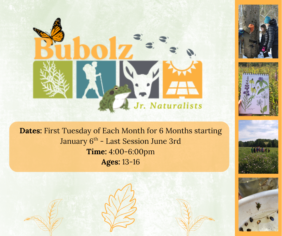 Bubolz Junior Naturalist Program image