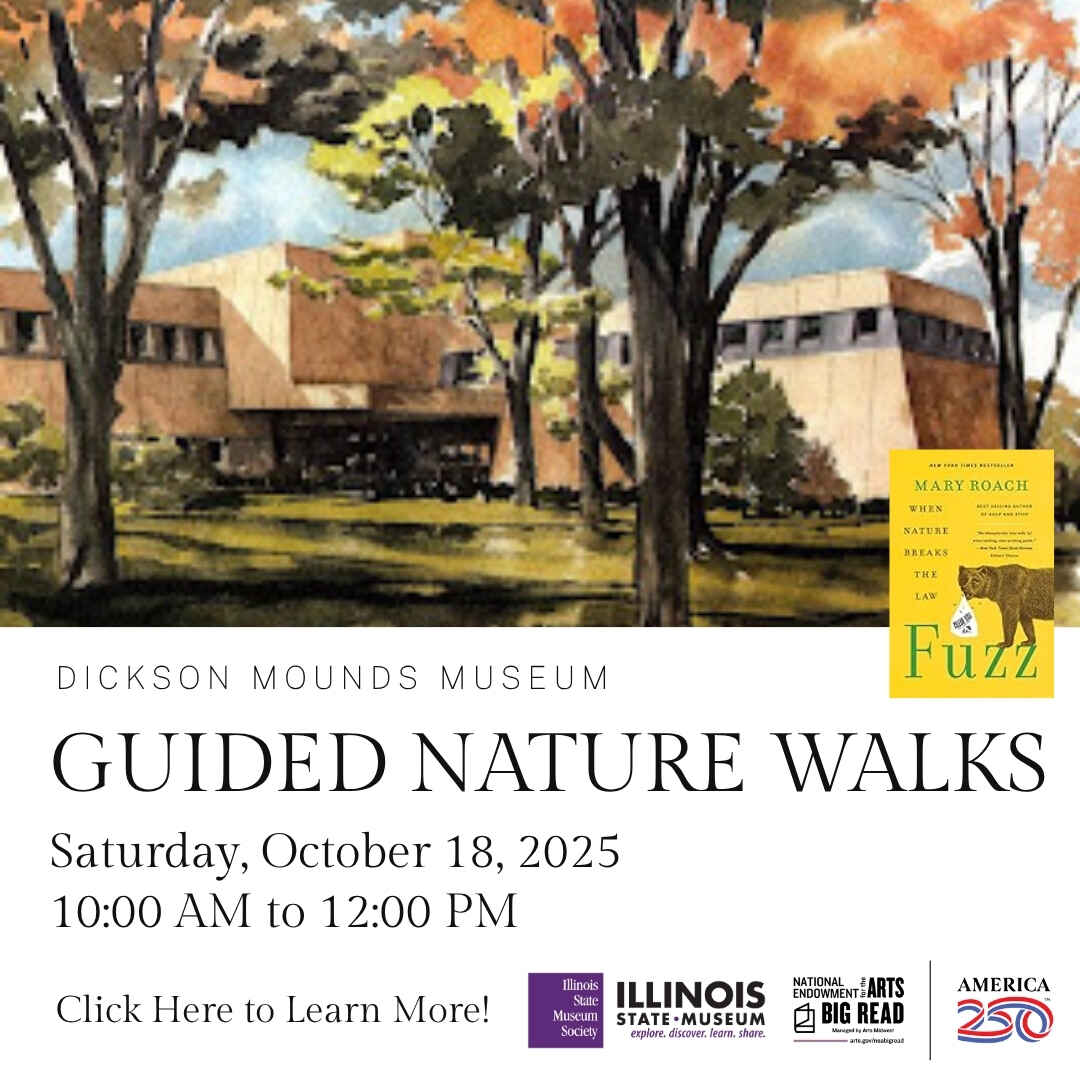 Nature Walks - Guided Hiking Tours image