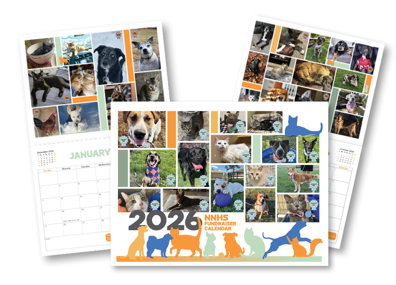 Pet Calendar Fundraiser (2026) image