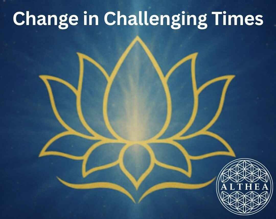 Workshop - Change in Challenging Times image