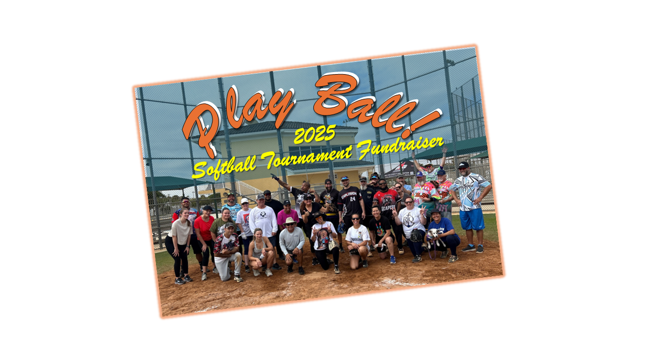 Softball Tournament for Charity 2025 image