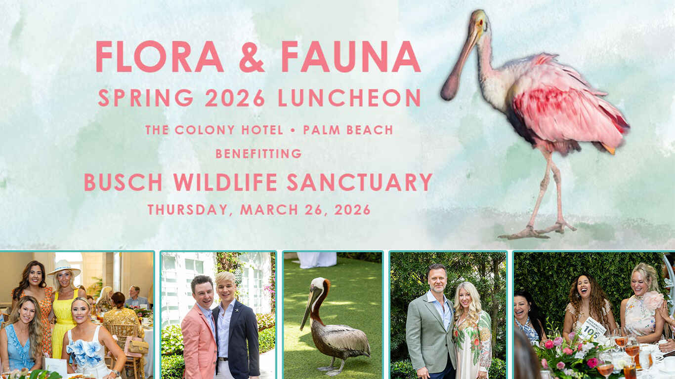 Flora & Fauna 2026 Luncheon image