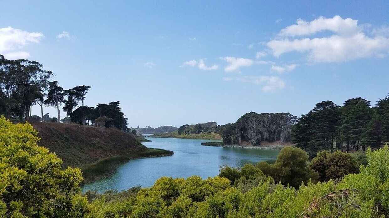 Class of 1990 -- 35-Year Reunion image