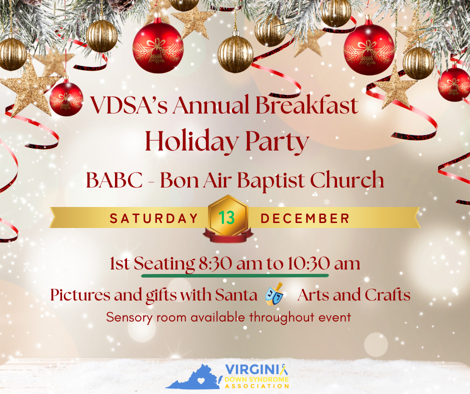 VDSA's Annual Holiday Party - First Seating image