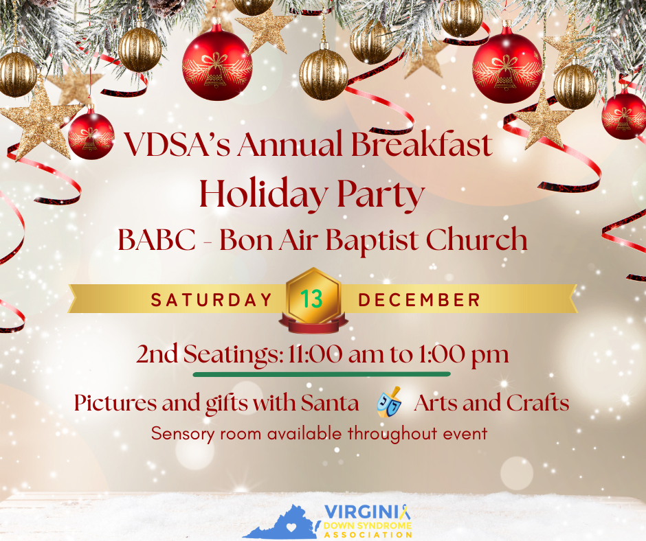VDSA's Annual Holiday Party - Second Seating image
