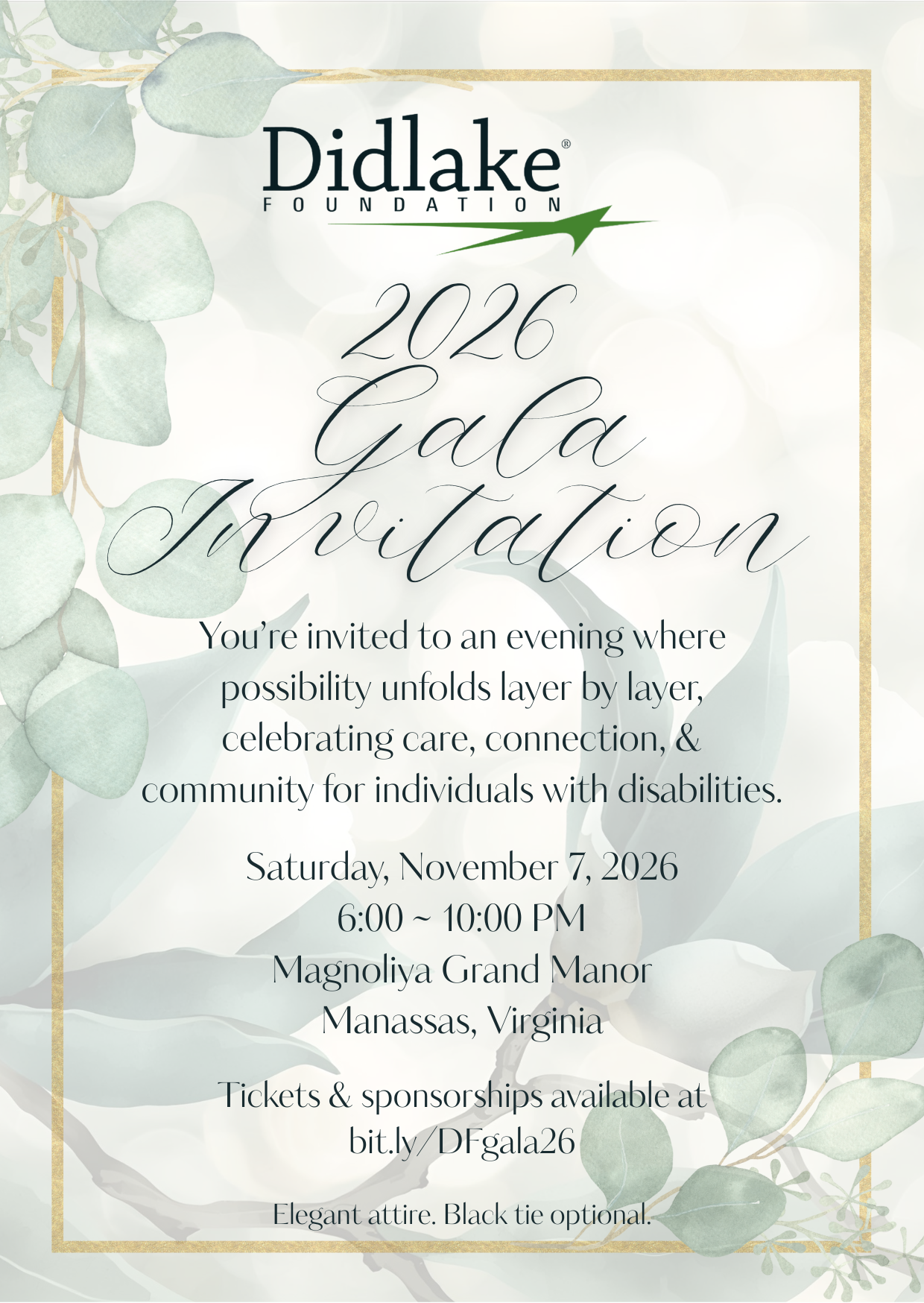 Didlake Foundation Gala 2026 image