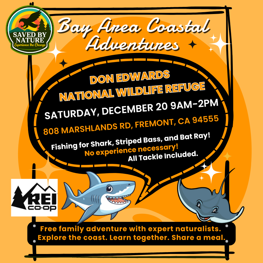 Bay Area Coastal Adventures - Bay Fishing for Shark, Striped Bass, and Bat Ray at Don Edwards National Wildlife Refuge image