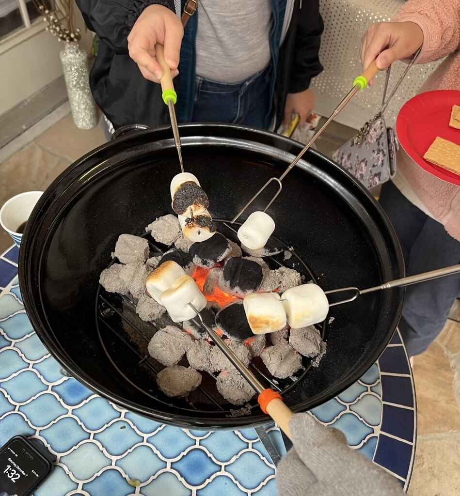 S'mores Outdoors  image