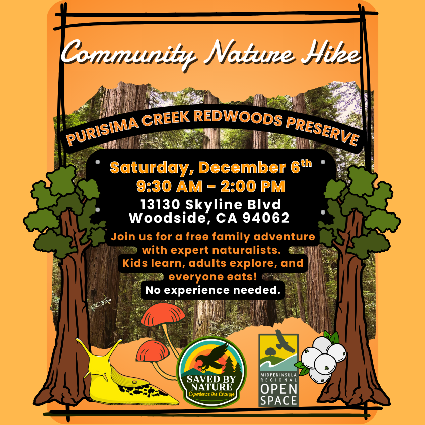 Community Nature Hike - Purisima Creek Redwoods Preserve image