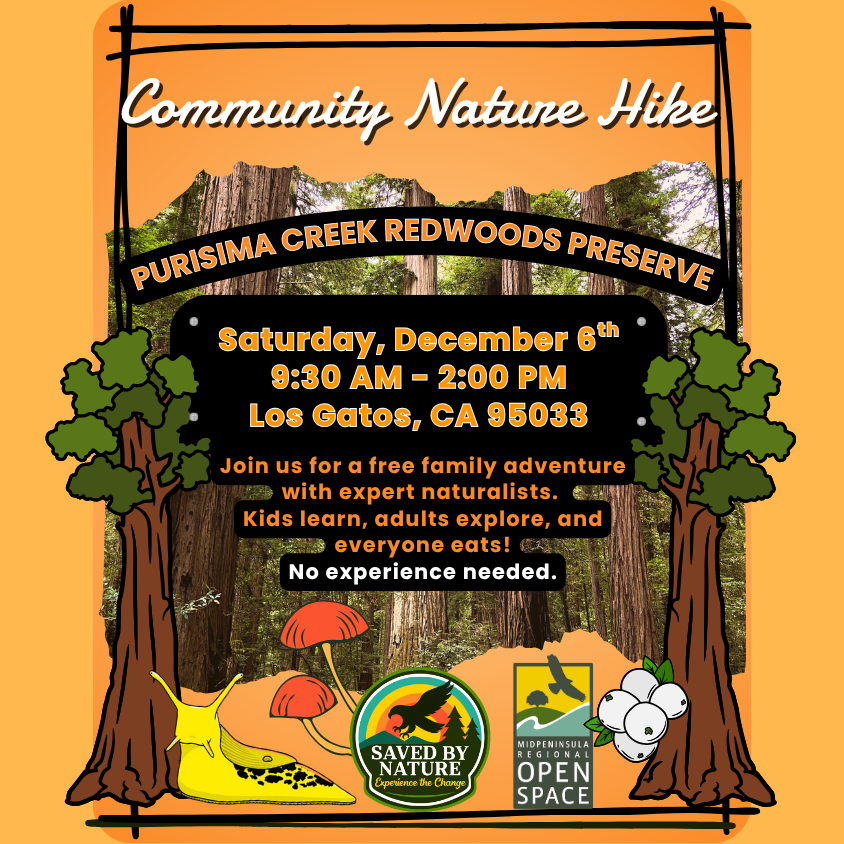 Community Nature Hike - Purisima Creek Redwoods Preserve image