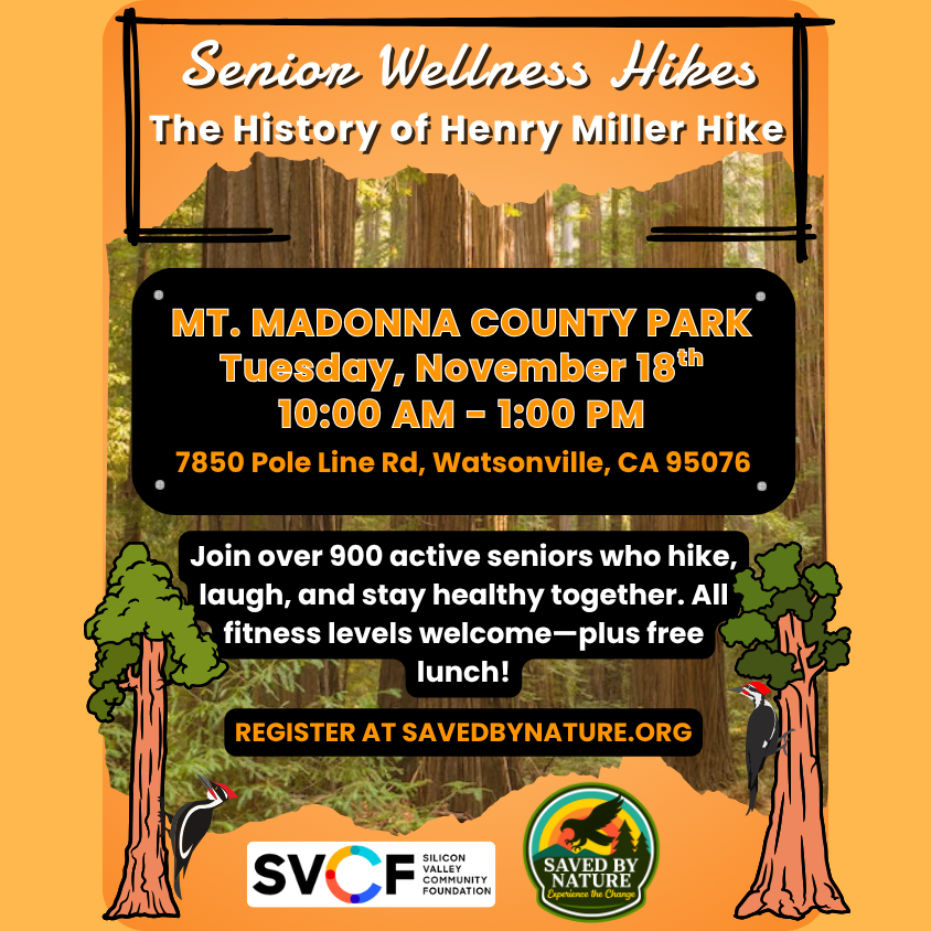 Seniors Wellness Hike - Mt Madonna County Park image