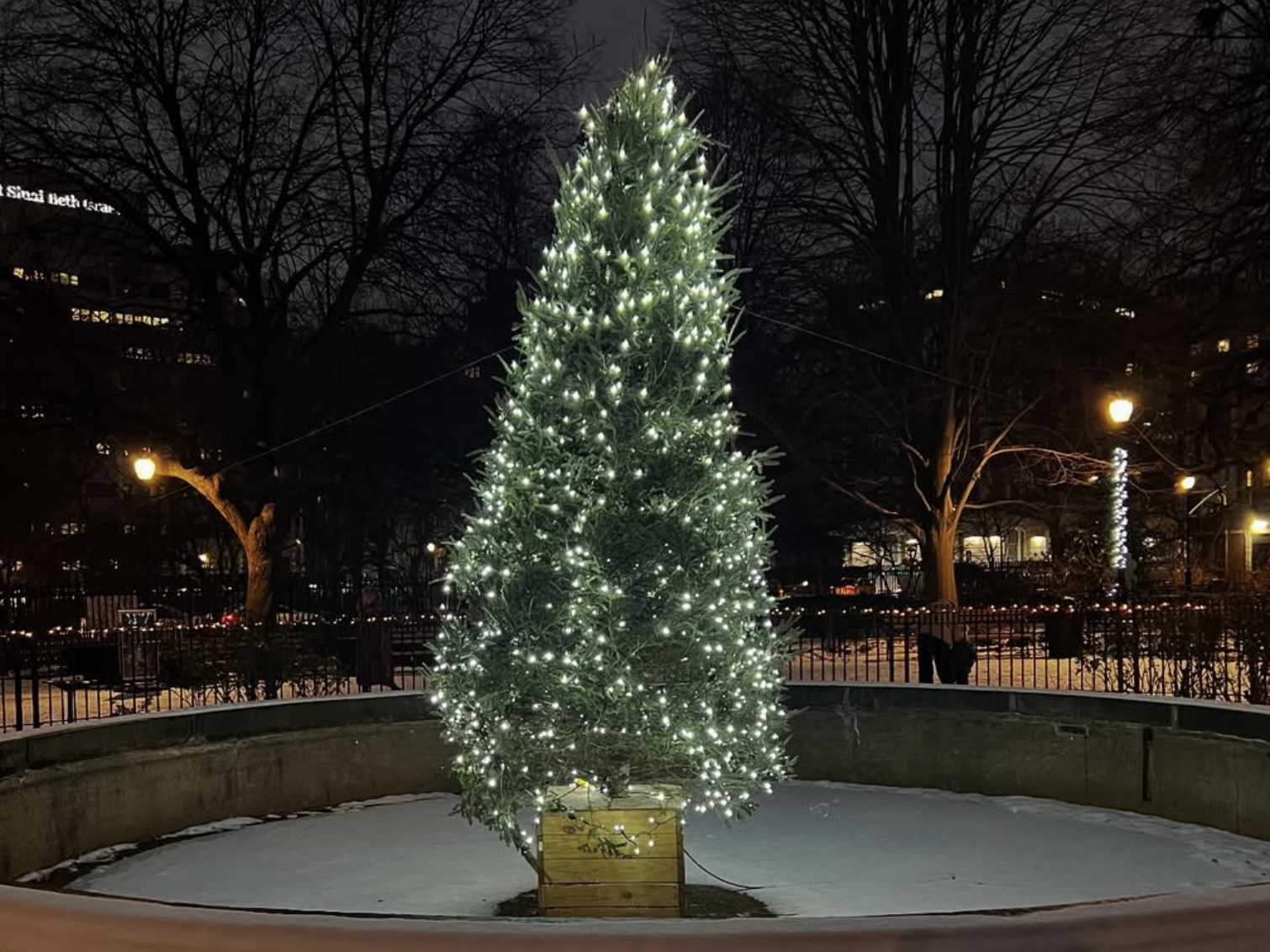 Annual Holiday Tree Lighting with the Kidwell Sisters image