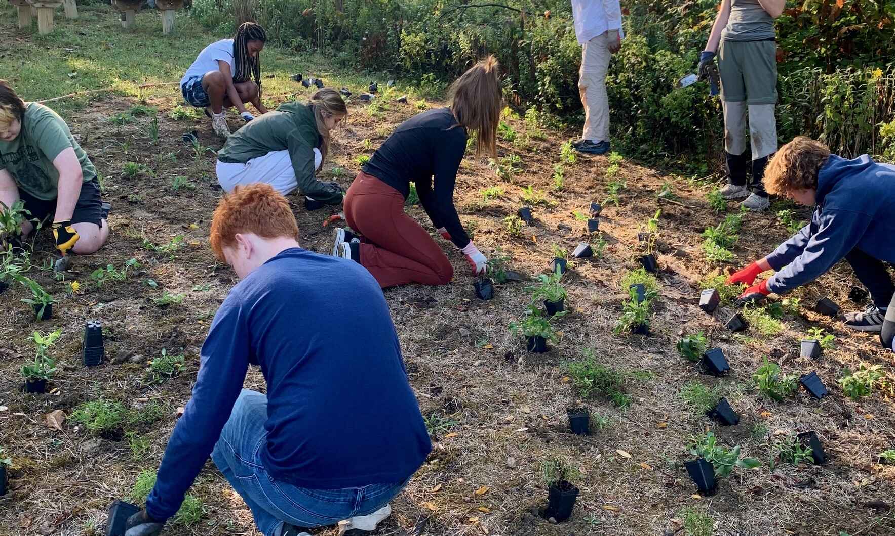 Clark Montessori Prairie Planting image