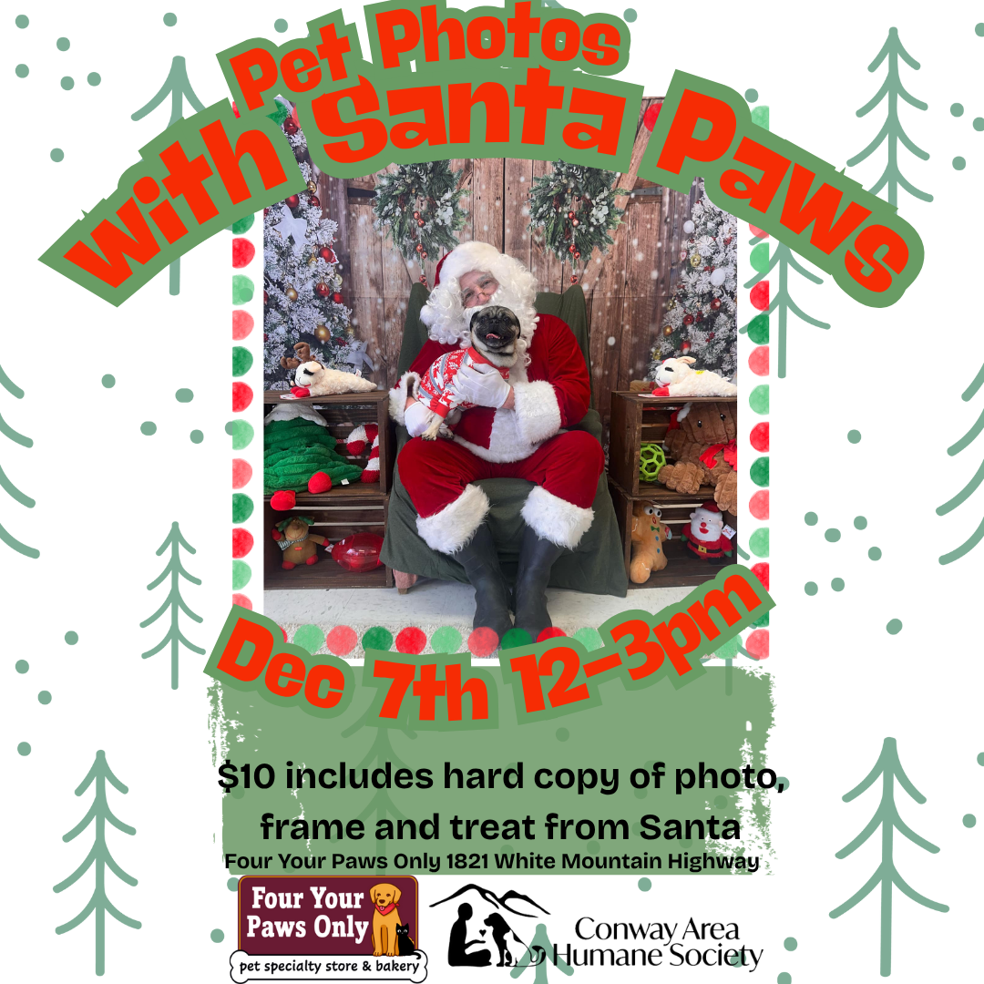 Pet Photos with Santa Paws 2025 image