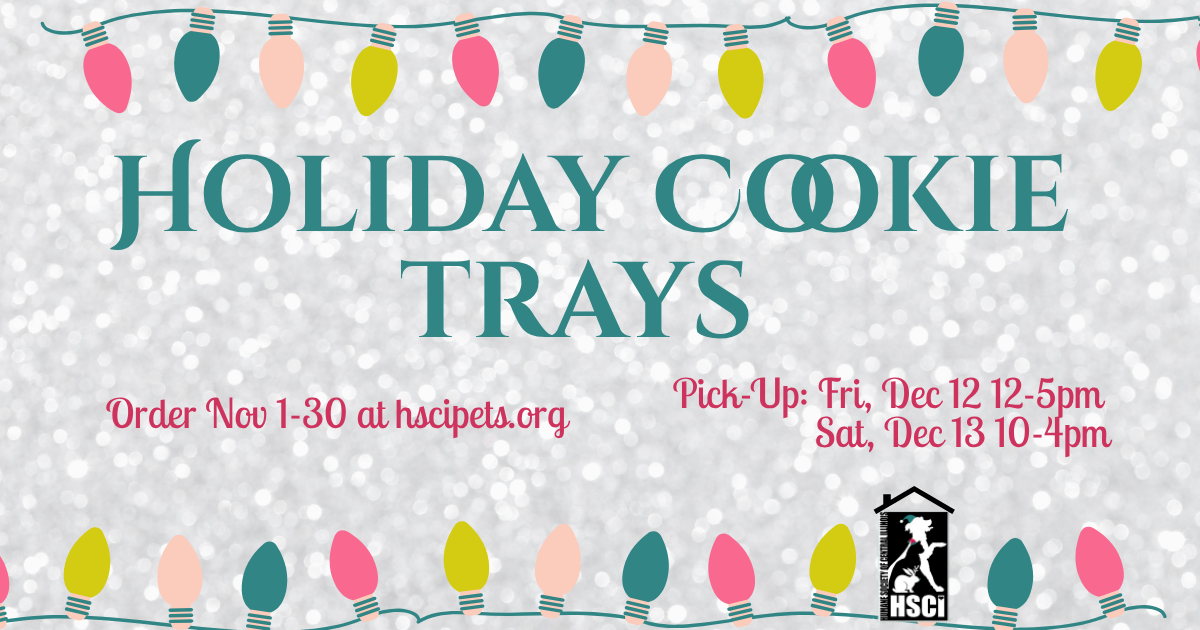 Home for the Holidays Cookie Tray Sales image