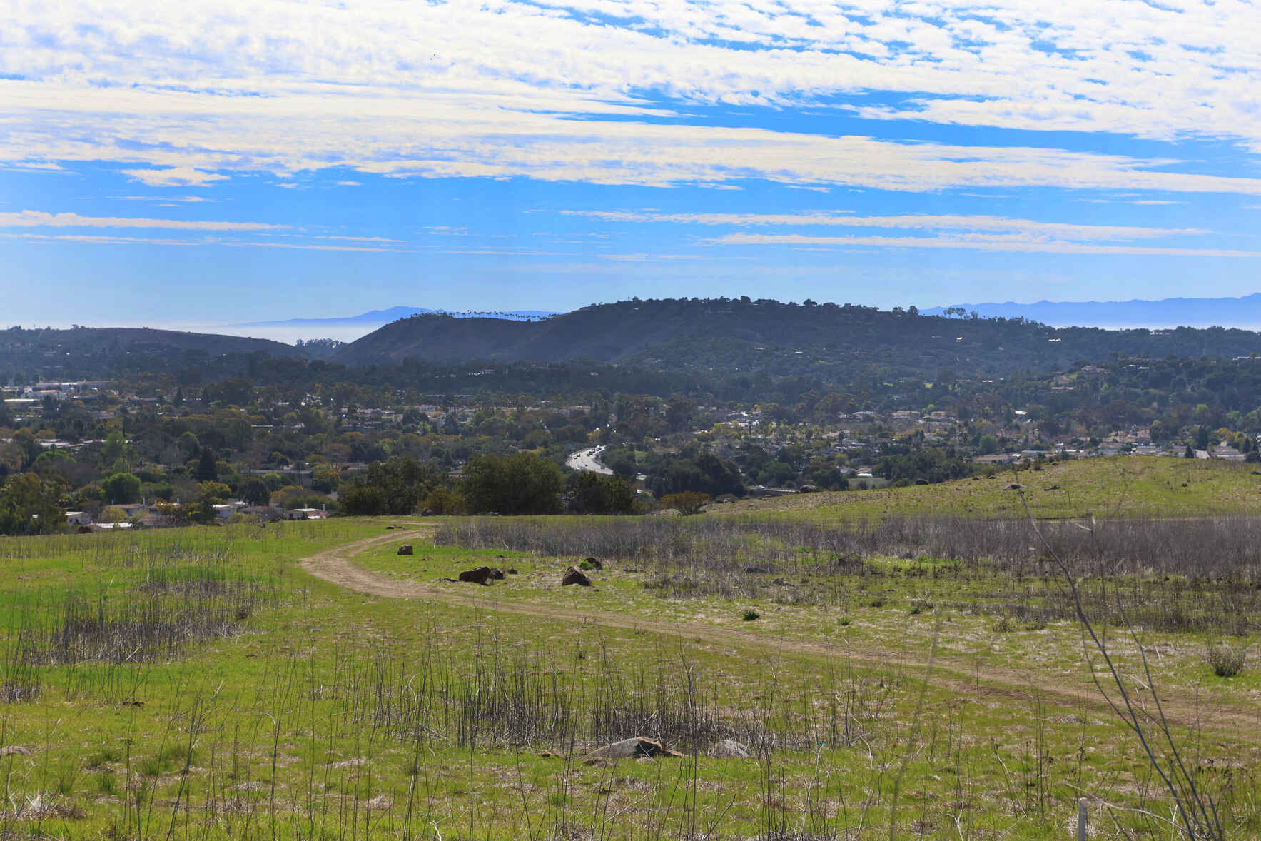 Volunteer Planting Day: Ethnobotany Garden image