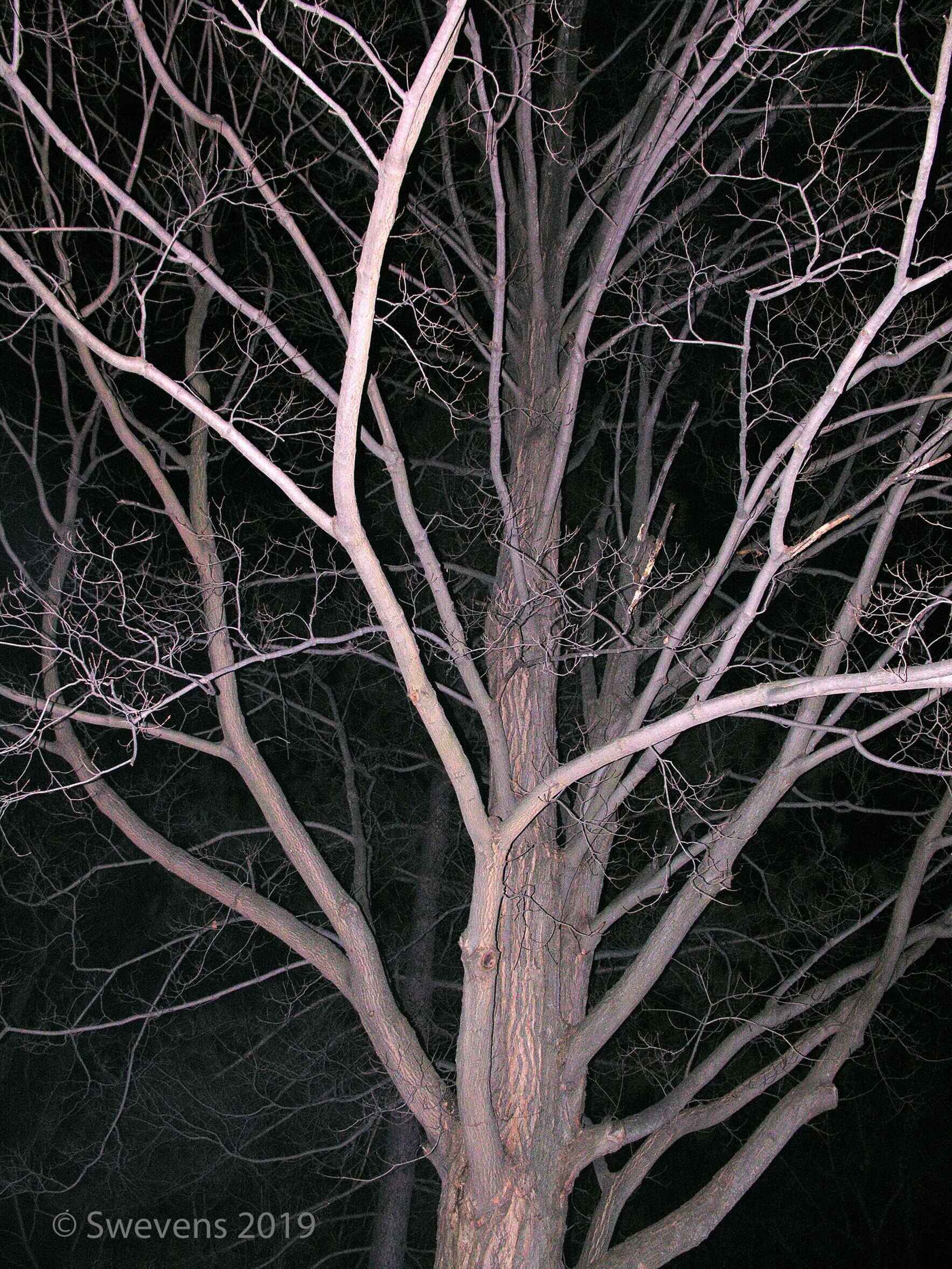 Discoveries in the Dark  image