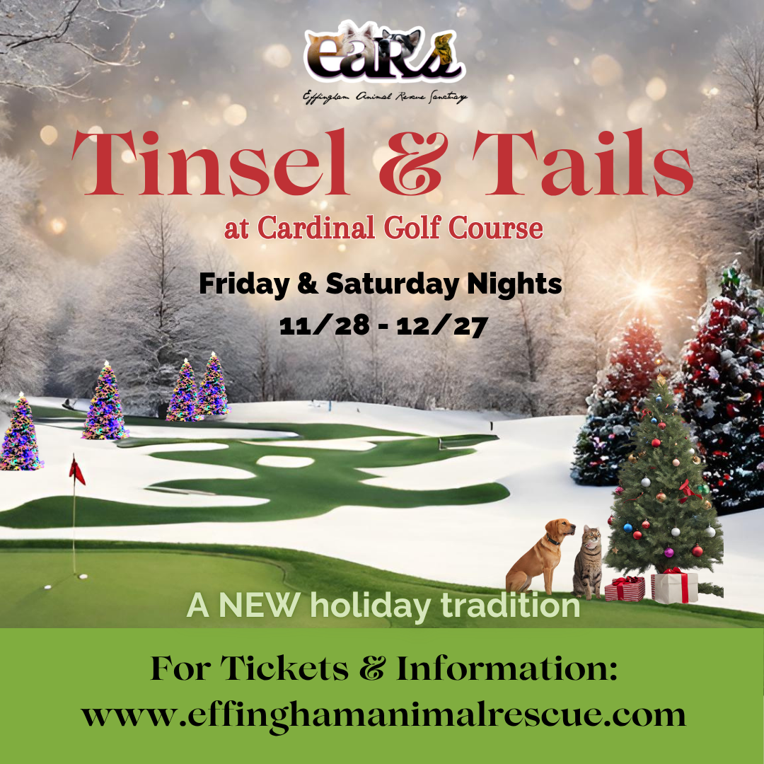 Tinsel & Tails: Saturday, 12/6 image