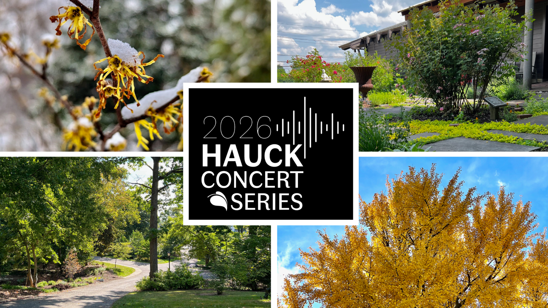 The 2026 Hauck Concert Series image