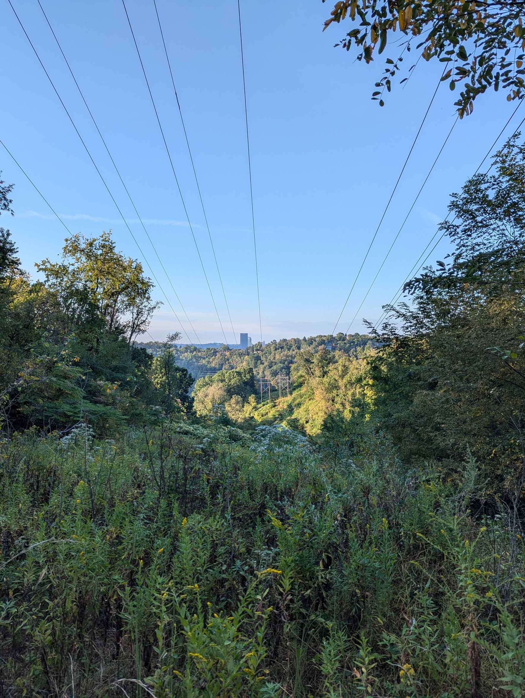 ALT x Pittsburgh Zoo: Girty's Woods Restoration Workday Series 2 image