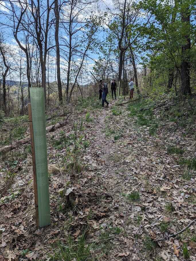  ALT x Pittsburgh Zoo: Girty's Woods Restoration Workday Series 3 image