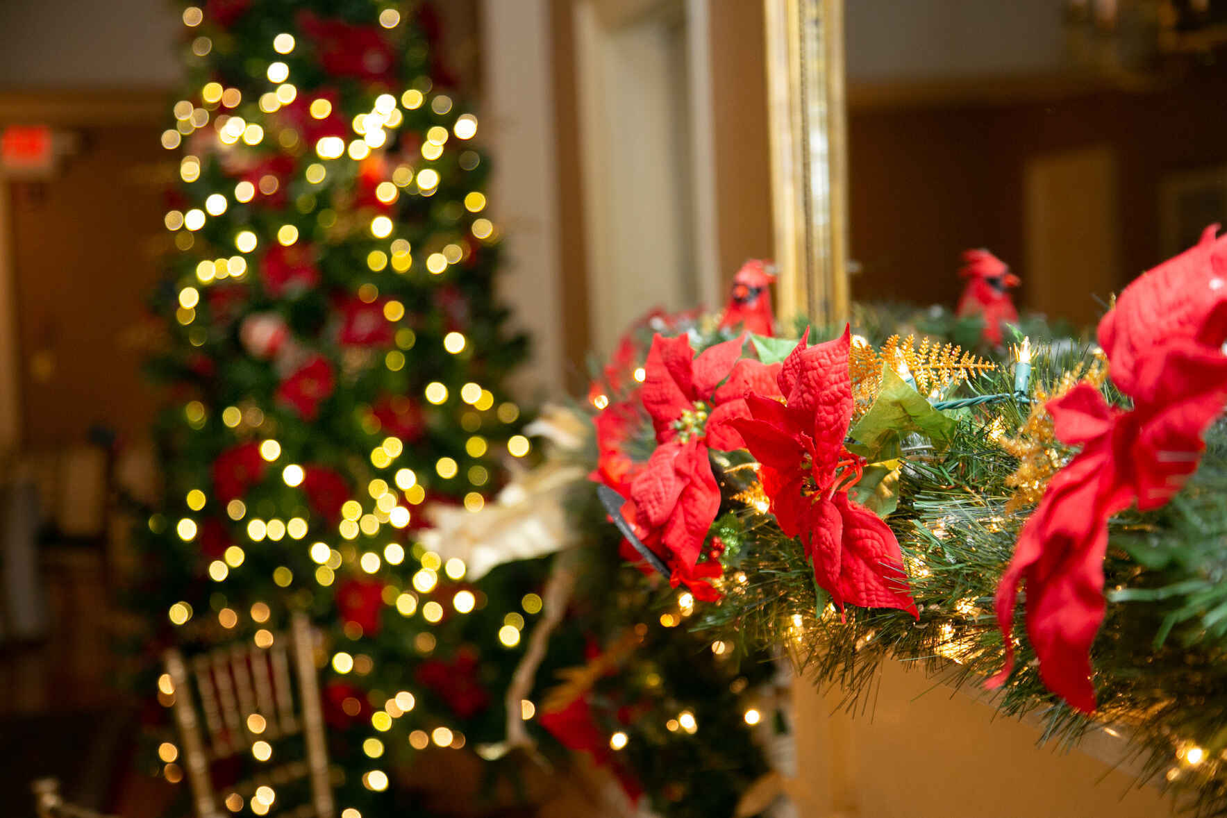 2025 Holiday Dance image