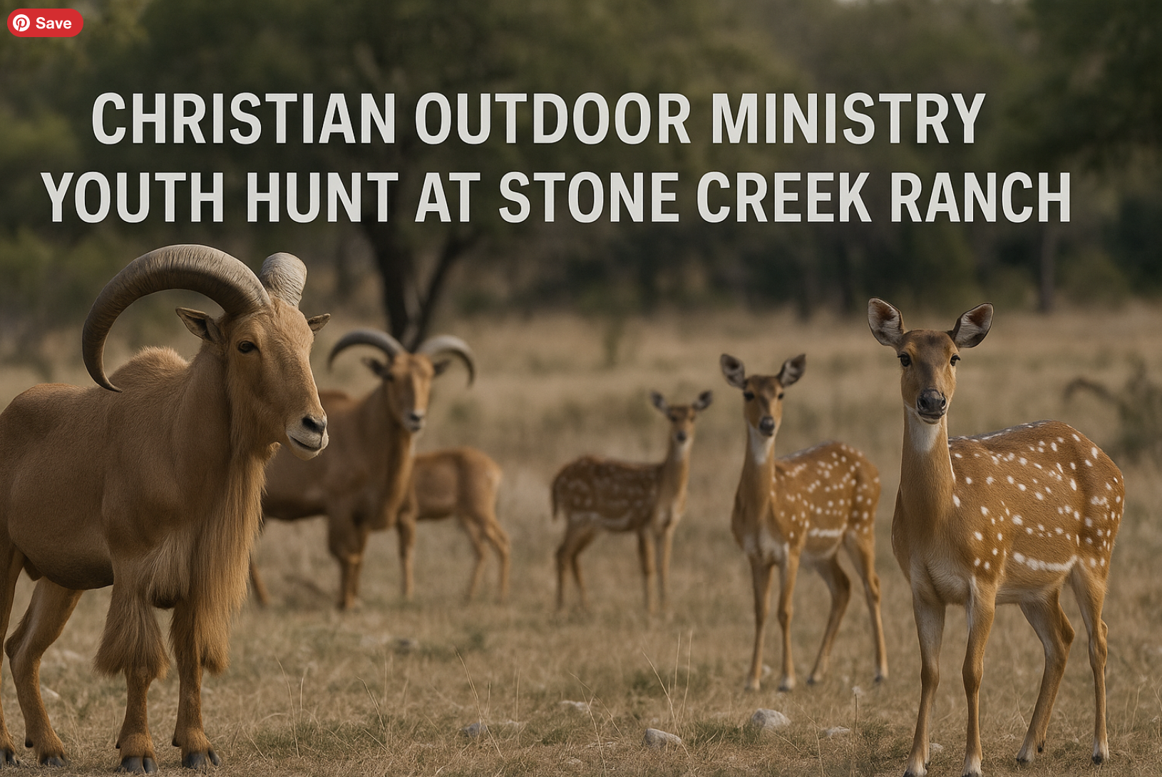 COM Youth Hunt at Stone Creek Ranch - Jan. 30 - Feb. 1 - Audads & Axis Does image