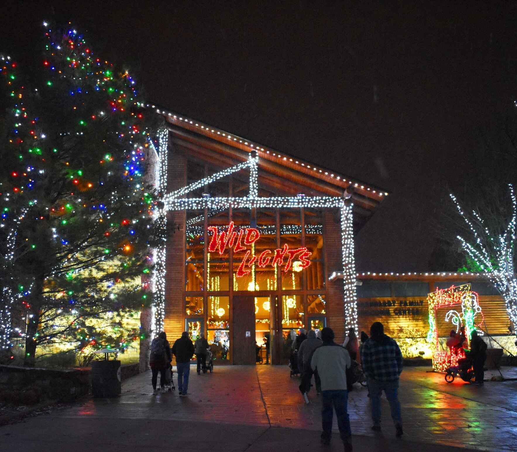 Akron Zoo Wild Lights DSANEO Family Night image
