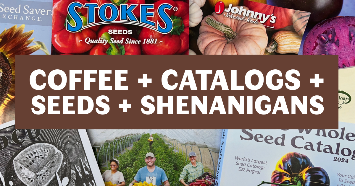 Coffee, Catalogs, Seeds & Shenanigans image