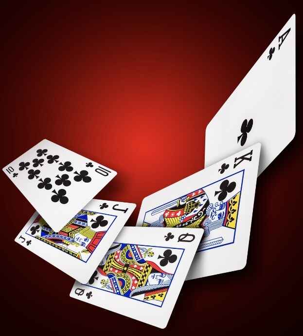 HopeFor Learning 1st Annual Spades & Bid Whist Tournament image