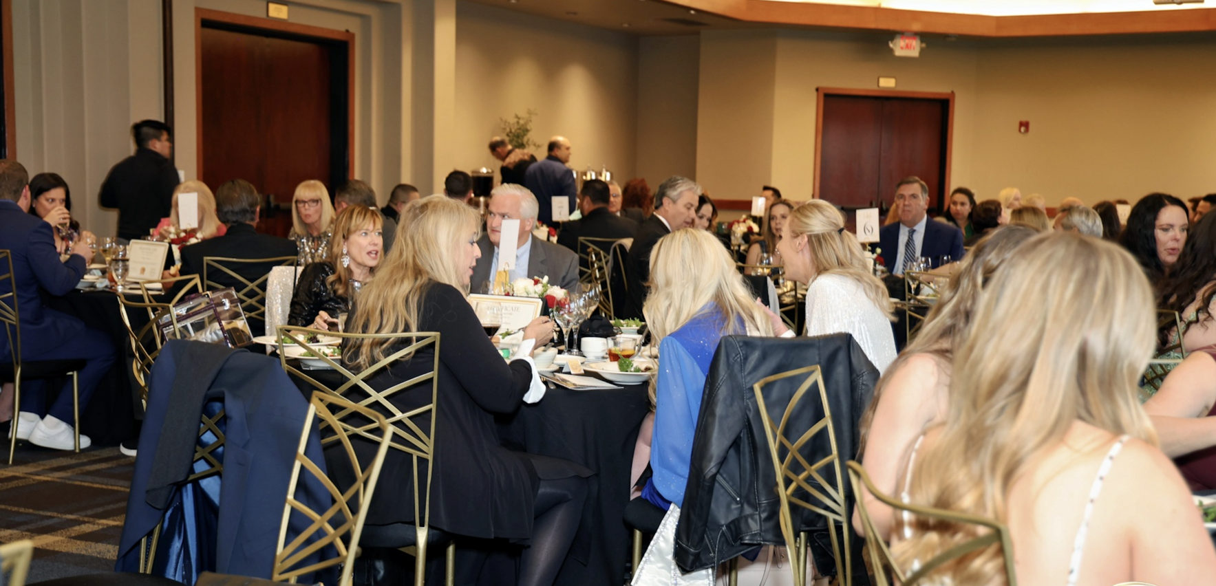 Heart & Sole Gala 2026 image