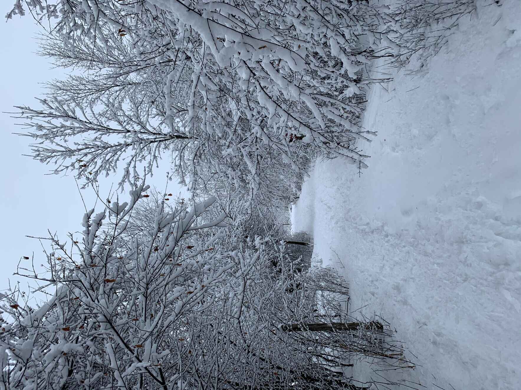 Ski Clinics 2025 image