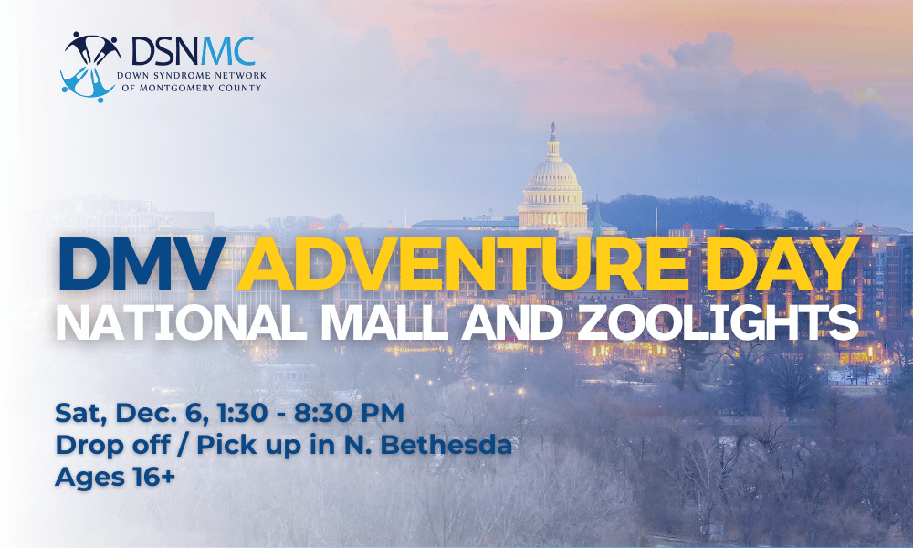 DMV Adventure Day:  National Mall and ZooLights image