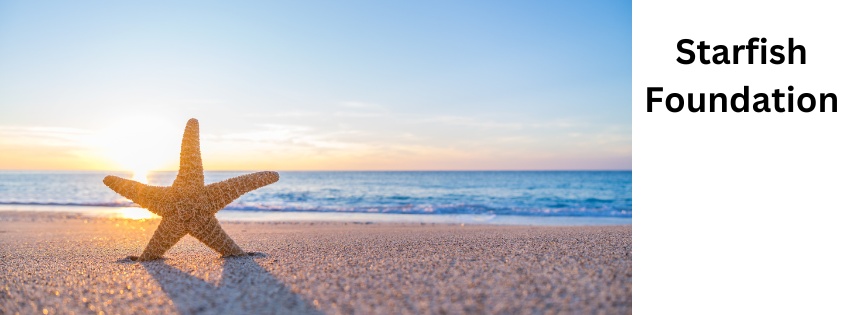 2026 Starfish Foundation Annual Meeting image