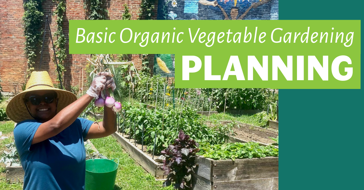 Basic Organic Vegetable Gardening: Planning image