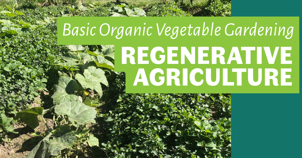 Basic Organic Vegetable Gardening: Regenerative Agriculture image