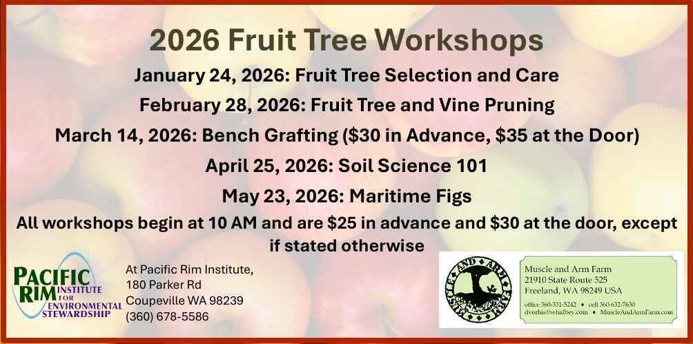 2026 Fruit Tree Workshops image